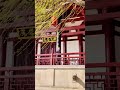 蓬勃的春日里，出去走走，便是拥抱希望与美好，生活的诗意，源于内心的热爱。#在春日里畅快呼吸 #春风柳树#春日漫游