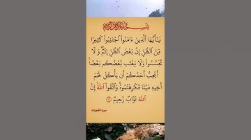 القرآن الكريم سورة الحجرات