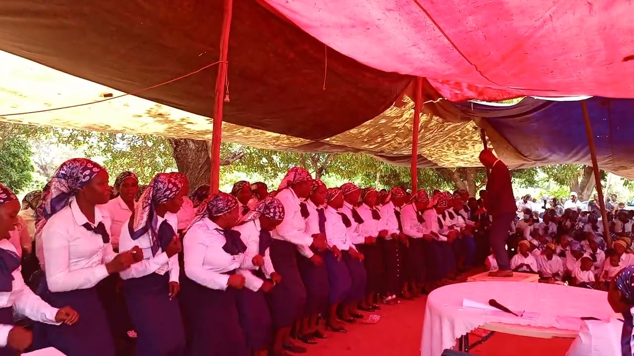 Estamos prontos para a batalha