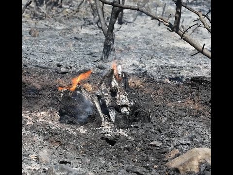 [ACTUALITÉ] LES BONS GESTES PENDANT UN FEU