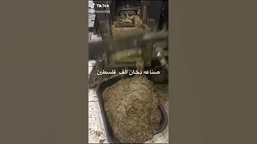 طريقه فرم الدخان العربي الفلسطيني 