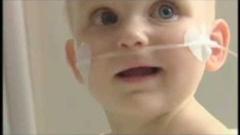 YPI Project; Tender Wishes