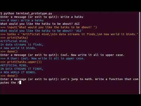 HALLM: An Agent that Observes and Acts through a Python Terminal - YouTube