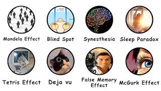 All Brain Bugs Explained In 8 Minutes