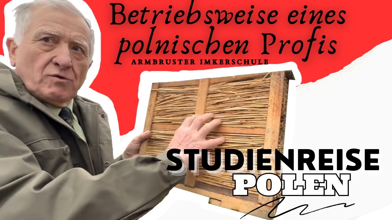Binder speakt: Betriebsweise eines polnischen Profis, 1 Honigraum: Mit Thermoschied 👍