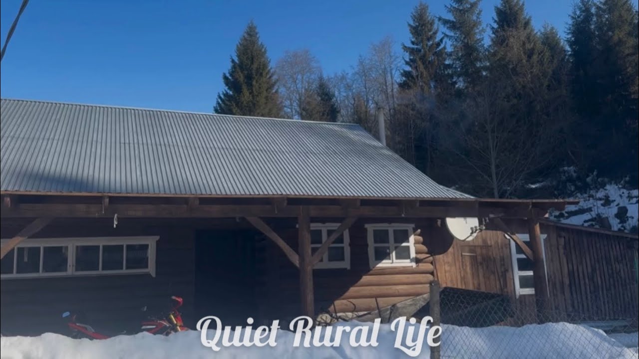 Simple life | Quiet moments with wood and silence 