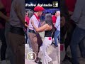 musica gaucha #viral #bailedasantinha #dance #baile