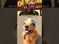 Joe's Best Friend 🐶 #podcast #joerogan #jrefunnymoments #joeroganpodcast #joeroganexperience #viral