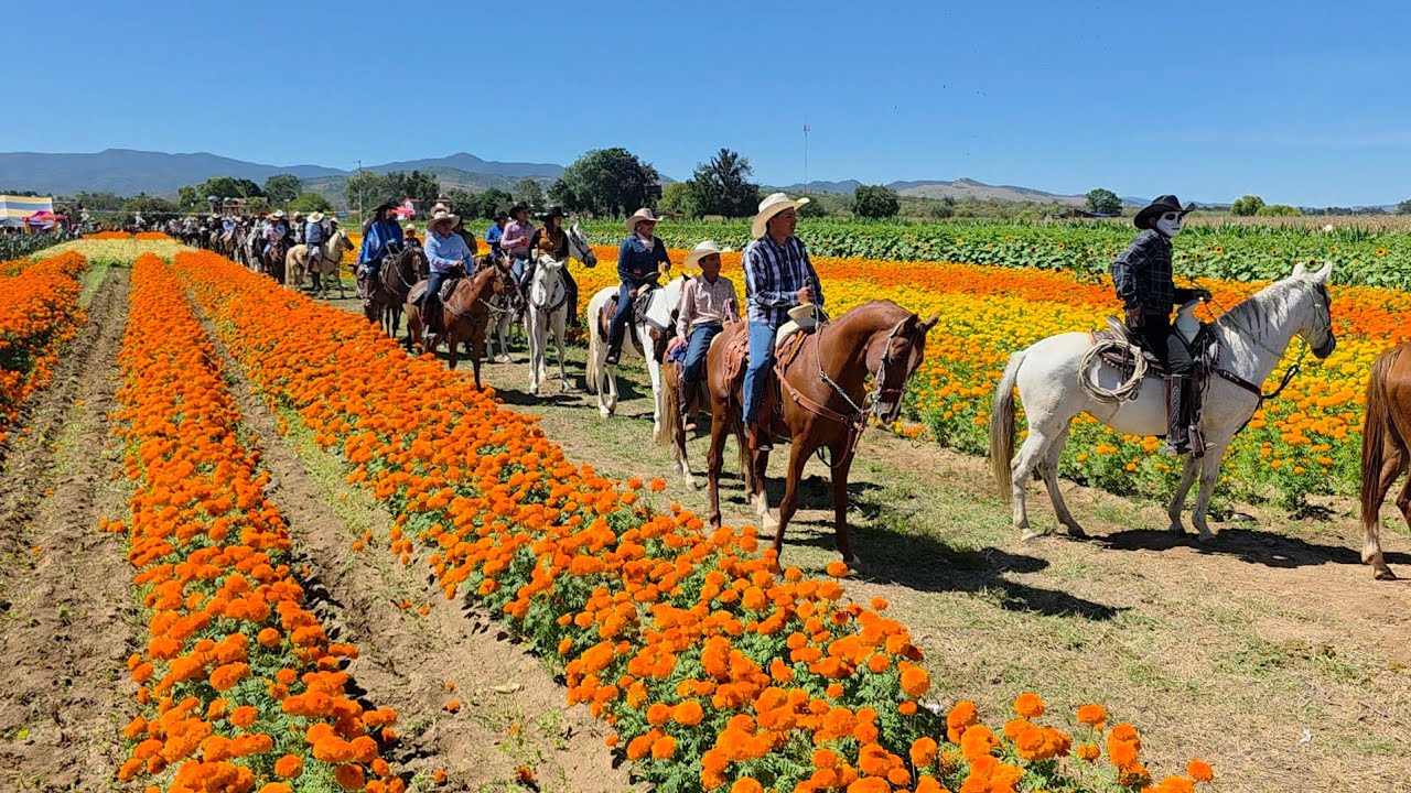 Camino hacia el mictlan cabalgata de día de muertos Guadalupe Etla. #caballos #diademuertos 