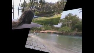 Cozettes Hawaii Trip - 2Min With Techno Music