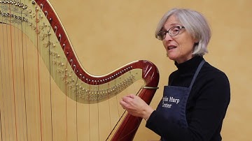 How to Install First Octave Strings