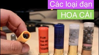 Sung ban dan hoa cai shotgun cac loai dan chon loai dan nao cho muc dich nao