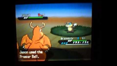 Shiny Patrat: After Only 280 Random Encounters - Pokemon Black 2