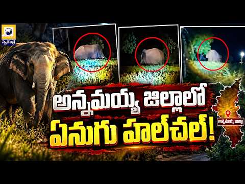 Annamayya District : అన్నమయ్య జిల్లాలో ఏనుగు హల్‌చల్! | Swatantra TV