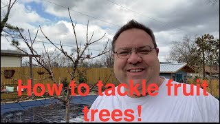 Fruit Tree care, before the season the starts!