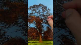 Painting a Photo-Realistic Autumn Tree #art #painting #satisfying