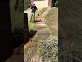 Owner Had NO IDEA These STAIRS WERE HERE That S Until I Found Them Owner Had NO IDEA These STAIRS WERE HERE That S Until I Found Them