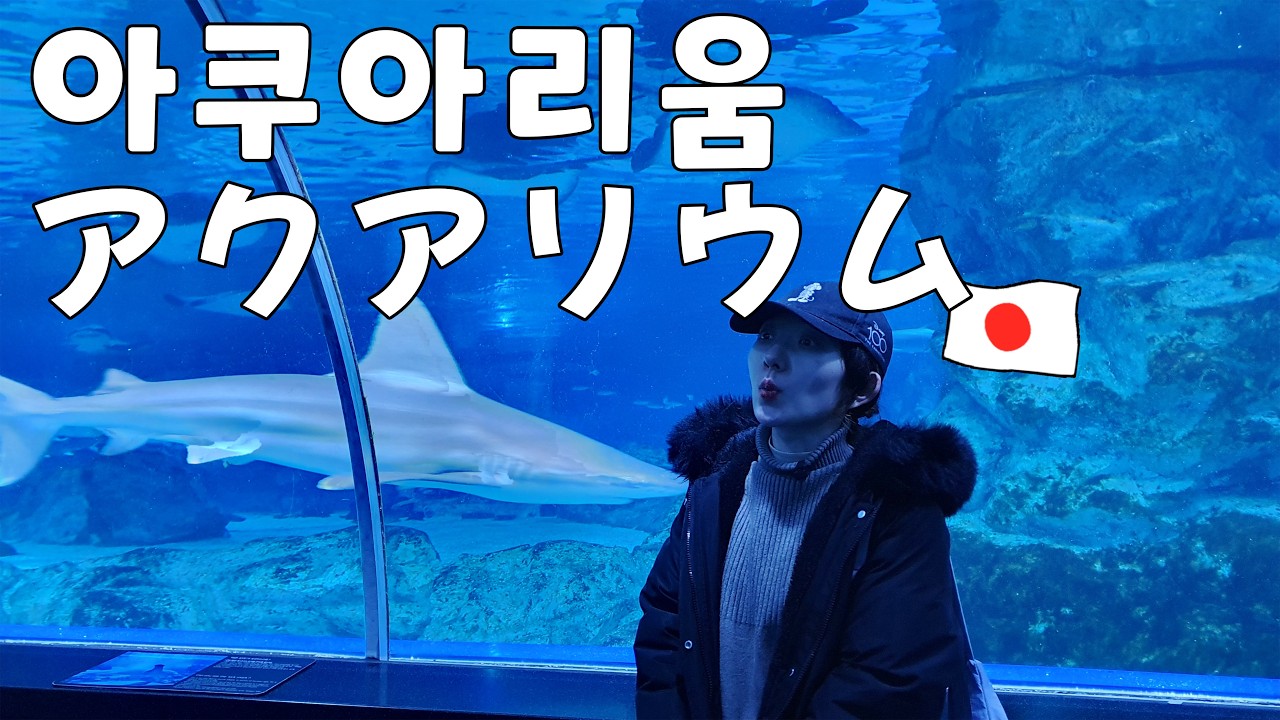 6년만에 일본인 아내와 아쿠아리움에 다녀왔습니다!! // 6年ぶりに日本人嫁とアクアリウムに行って来ました!!