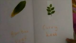 My Leaf Collection tour | Jayani s craft studio