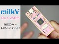 Milk-V Duo 256M - The SBC Stick That Can Dual Boot RISC-V and ARM
