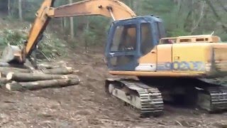 Bee Yard Expansion