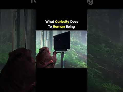 Curiosity Leads Us To ....|#motivation #curiosity #neuralink #billionaire #trending #shorts
