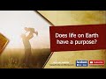 Does life on earth have a purpose