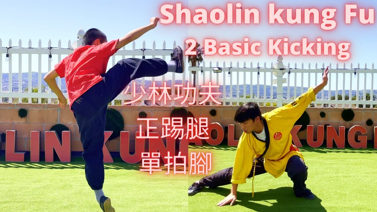 Slapi Shaolin Shaolin Kung Fu Training for beginners - Front kick (正踢腿) & Slap foot ...