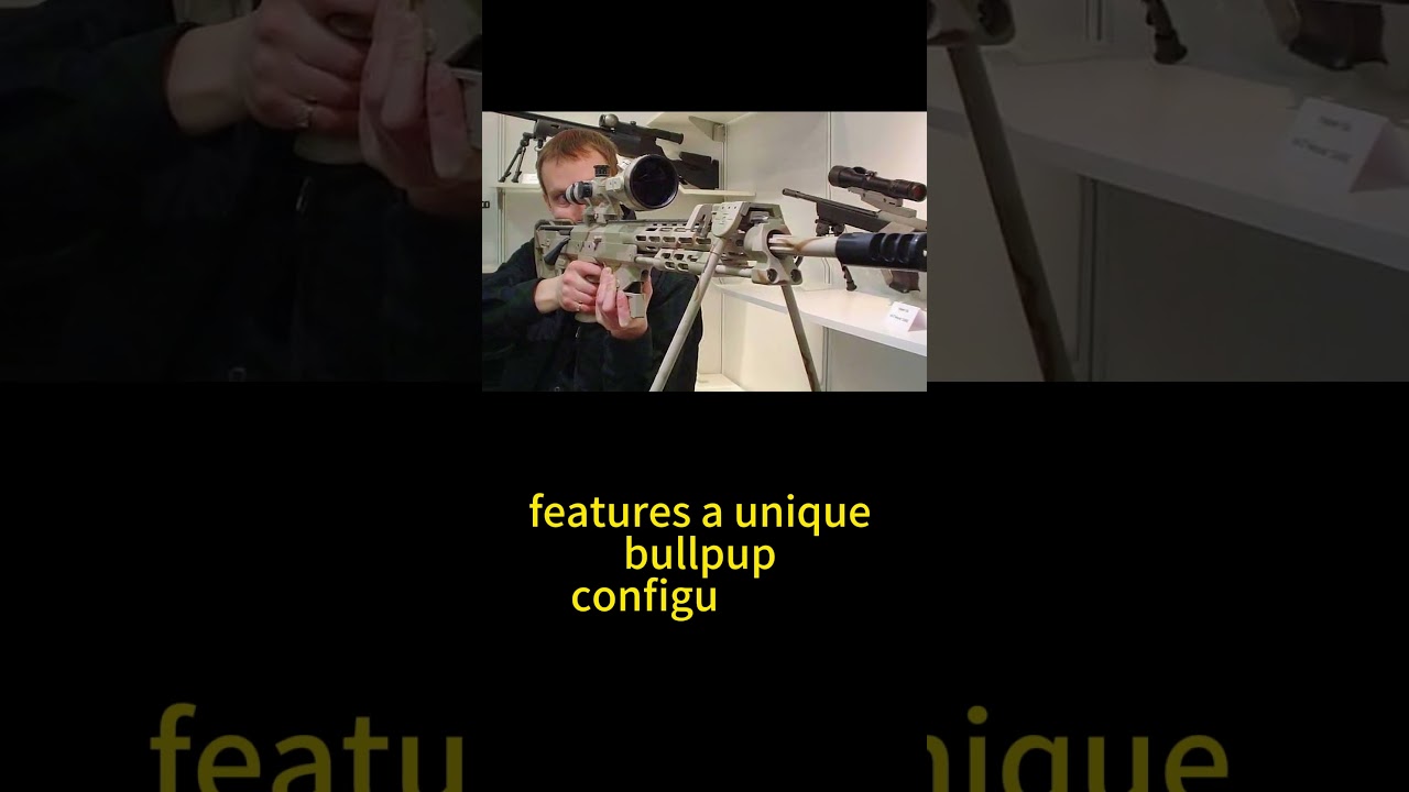 DSR Precision DSR-1 Sniper Rifle Insane Military Weapon 