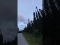 La route forestire dans louest du canada en personnecanadaalberta