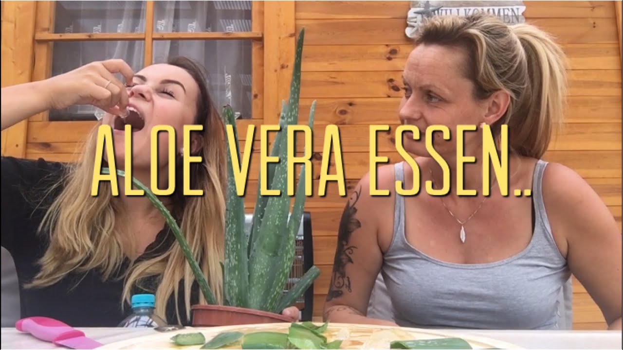 Инстаграм mit vera