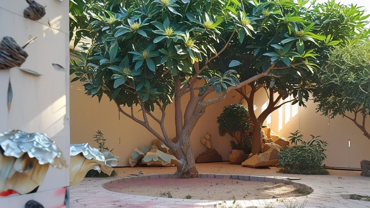 إمتلك ڤيلا فى البيطاش🔥370 متر 💥 كاملة العدادات 💯 شارع الحنفية مدرسة اللوتس💥ت/012277570920#عقارات 