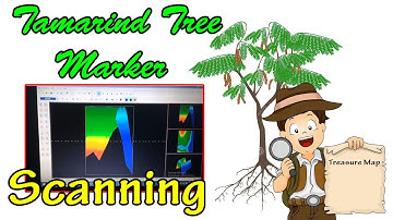 Scanning TAMARIND TREE MARKER using MARIYA 3D VISUALIZER