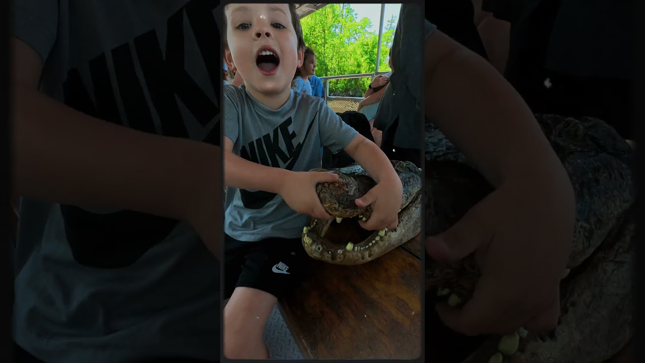 Swamp Tour Field Trip with My Son 🌿🐊