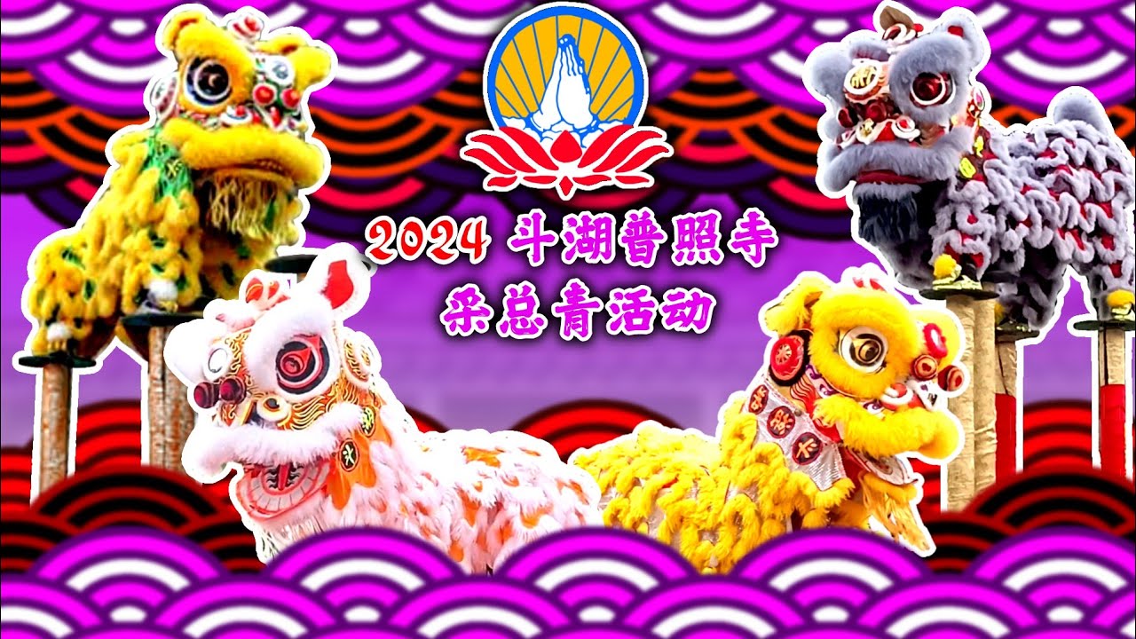 2024 斗湖普照寺采总青活动 | 2024 Lion Dance Performance Team Pu Zhao Shi