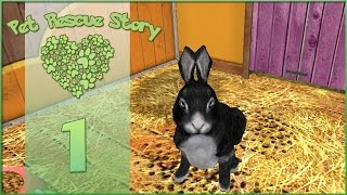 Pet Rescue Story || First Day at the Rescue! - Episode #1 screenshot 5
