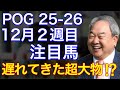 【POG/25−26】12月2週目デビューの注目新馬を紹介【遅れてきた超大物か⁉️金子オーナーのページターナー！】