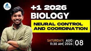 NEURAL CONTROL AND COORDINATION | +1 | VP L1