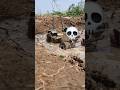 mud chellang❤️🔥tractor🔥#bulldozer💀 #automobile #viralvideo #farming #youtubeshorts #subscribemy