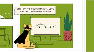 custom made dog boxes