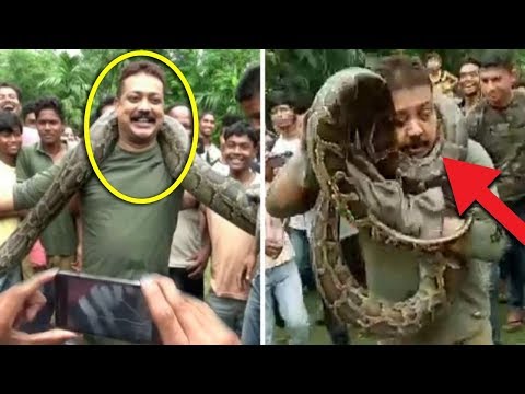Thumbnail for Sempat Direkam Warga! Bermain Ular Raksasa, Tiba-tiba Pria ini Alami Kejadian Mengerikan!