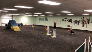 20200516 Barn Agility 2