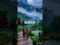 Quran Urdu Translation #Guidance #QuranQuotes #Muslim #Islam #Dua#trending #viral