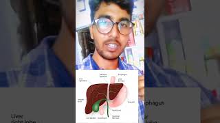 Pancreas#Function#Insulin#Short#Video