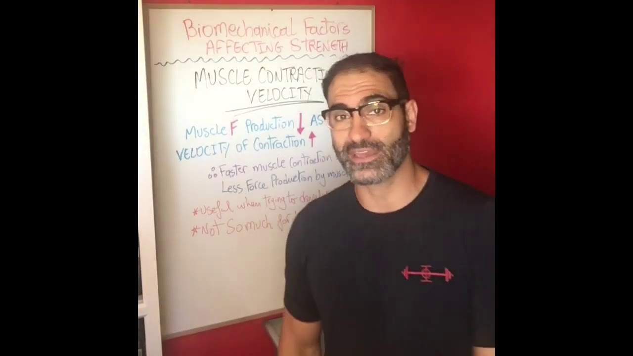 BIOMECHANICAL FACTORS AFFECTING STRENGTH PART 6 YouTube