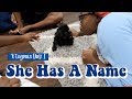Our New Puppy Has A Name | Vlogmas Day 1