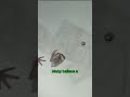 I Disputed ONE Error #Shorts
