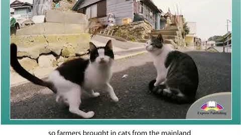 Excel 8 Module 7  Island destination p 80