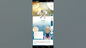 Hundos And Nundos What About A Onedo Pokemongo Hundo Nundo Onedo Pokémongo 