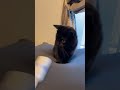 君の毛取ってるんだけどな!!😂 コロコロ 黒猫 ミヌエット